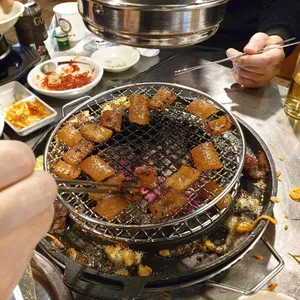 신마포갈매기 사진