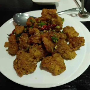 희양양 사진