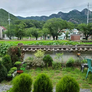 하울커피 리뷰 사진