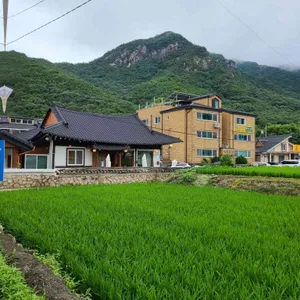 하울커피 리뷰 사진