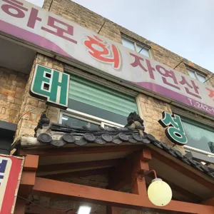 태성하모횟집 리뷰 사진