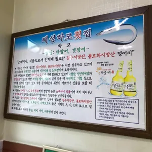 태성하모횟집 리뷰 사진
