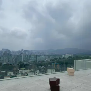 테르트르 리뷰 사진
