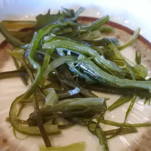 산애들애 사진