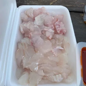 자갈치수산 사진