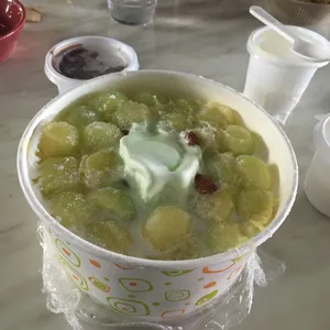 거닐다 봄 사진