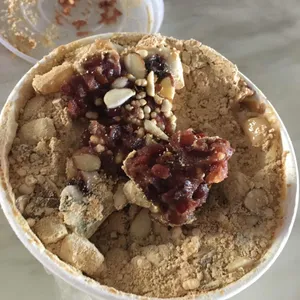 거닐다 봄 사진