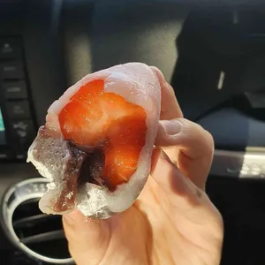 모찌의하루 사진