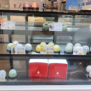 모찌의하루 사진