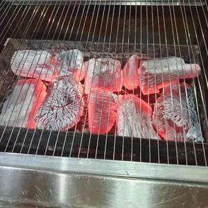 은행나무 풍천민물장어 사진