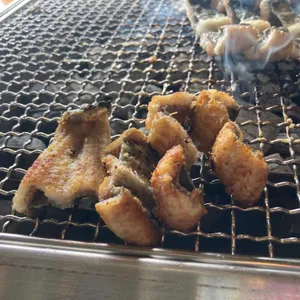 황토장어 사진