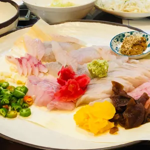 돌섬선어 사진