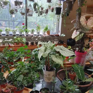 하이드파크 리뷰 사진