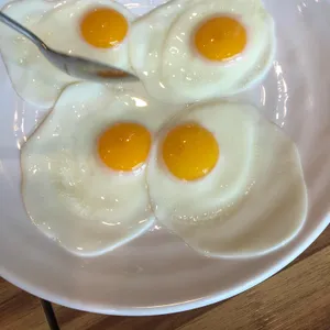 문어로 사진