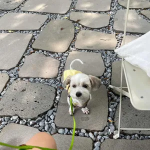 에트글라스 리뷰 사진