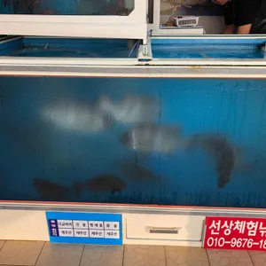 전망대횟집 리뷰 사진