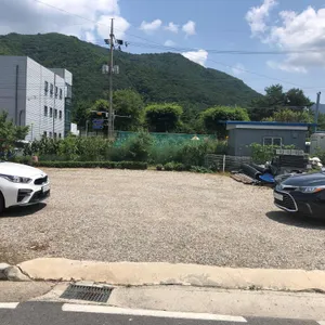 인제막국수 리뷰 사진