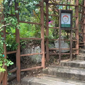 두리원 손두부 리뷰 사진