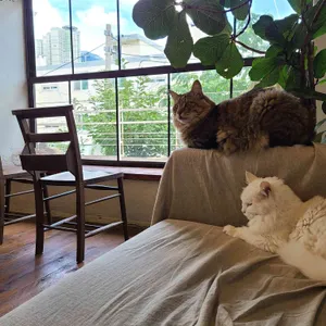 그린노마드 리뷰 사진