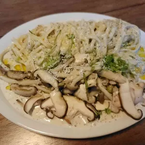 알카노 사진