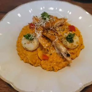 알카노 사진