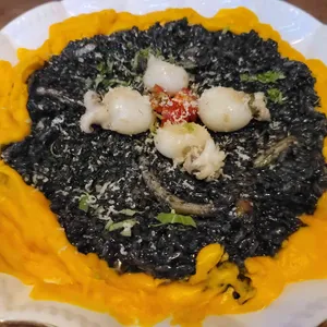 알카노 사진