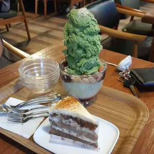 카카듀 사진