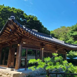 온더기와 리뷰 사진