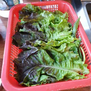 두물장어 사진