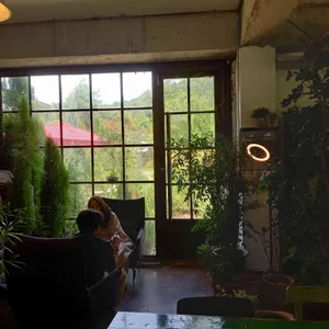 그린노트 리뷰 사진