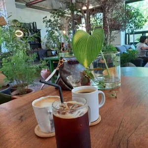 그린노트 사진