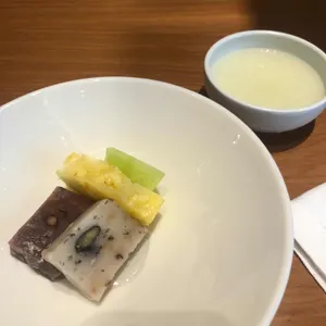 제주 드림타워 녹나무 사진