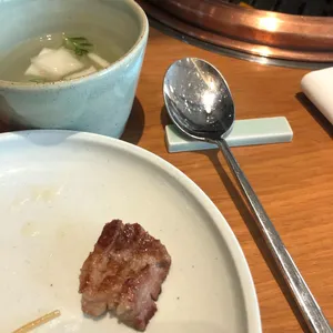 제주 드림타워 녹나무 사진