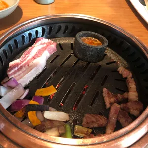 제주 드림타워 녹나무 사진