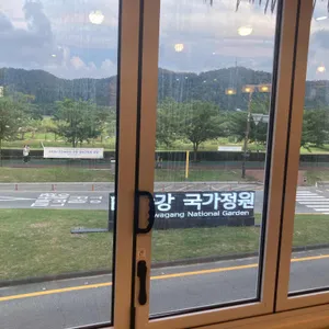 바이누사 리뷰 사진