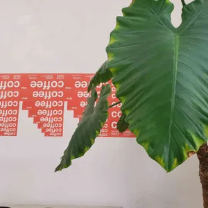 인더매스 리뷰 사진