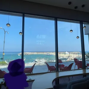 할리스 리뷰 사진