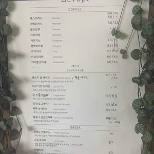 덴드리 리뷰 사진