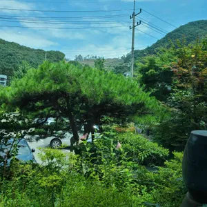 빛두리 리뷰 사진