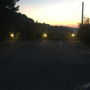 아디스브라운 리뷰 사진