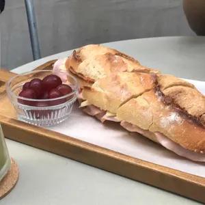 애술린 사진
