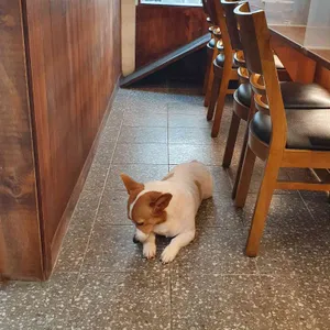 히루마 리뷰 사진