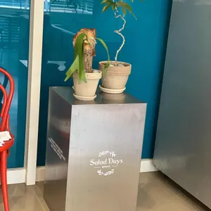 샐러데이즈 리뷰 사진