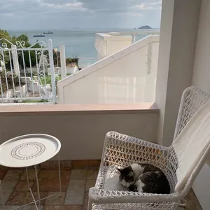 랏츠커피 리뷰 사진