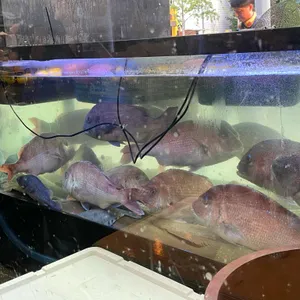 최우영수산 리뷰 사진