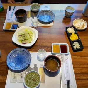 지중해참치 사진