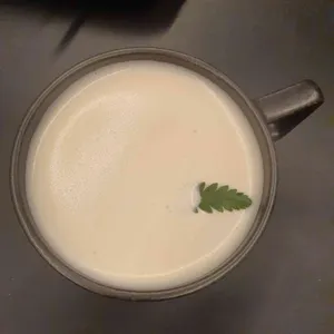 스펠 사진