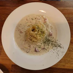 토흐 사진