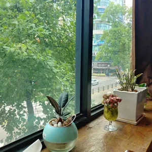 탄두르 대표 사진