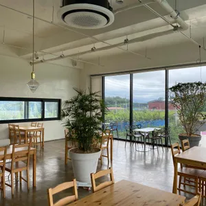 그 날의 온도 리뷰 사진